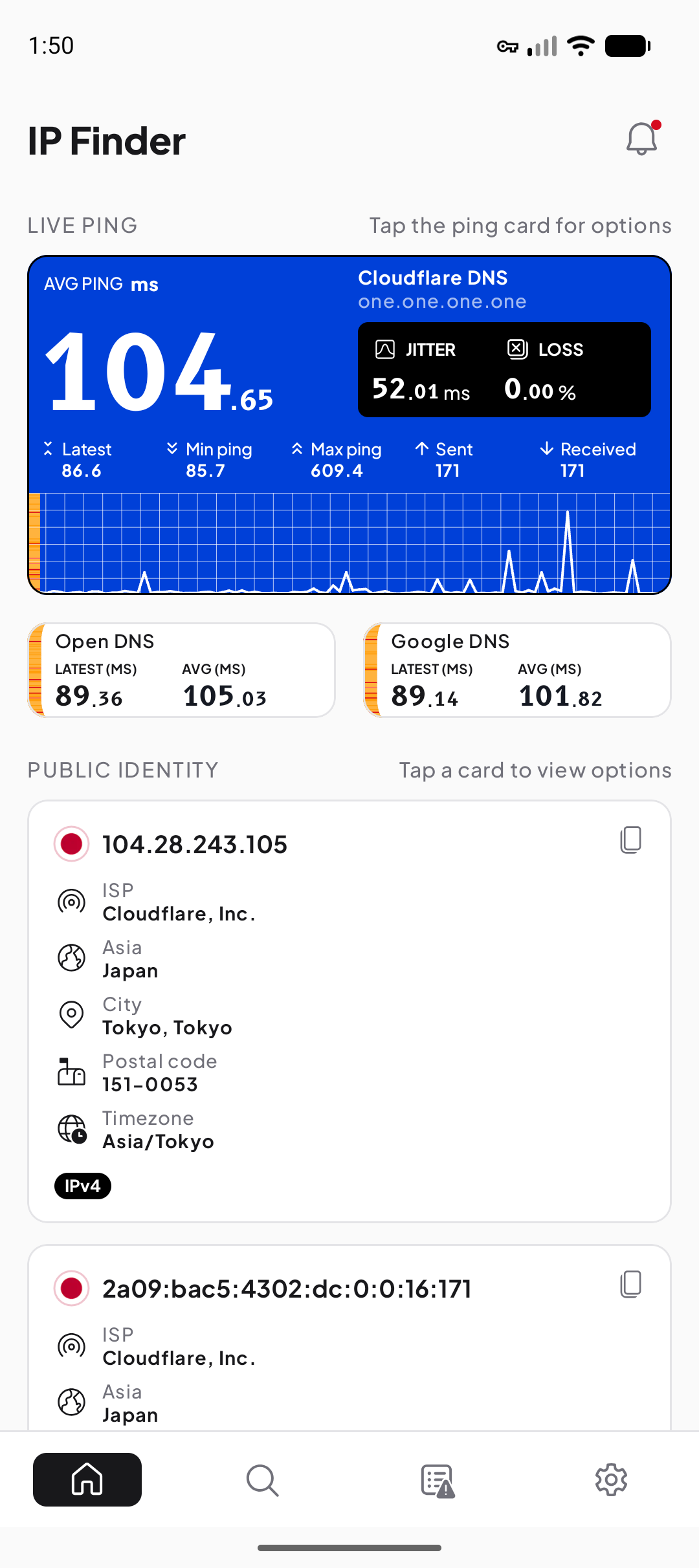 Resumen de IP pública en IP Finder